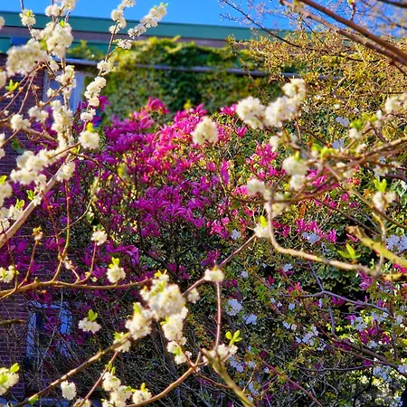 Chasse Residency Amsterdam