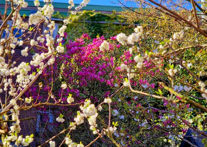 Chassé Residency Amsterdam